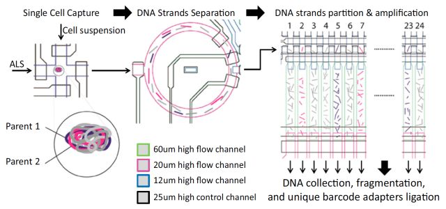 單細(xì)胞測(cè)序技術(shù)(single cell sequencing)